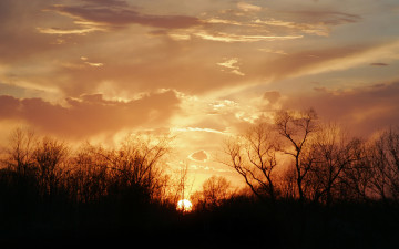 Картинка природа восходы закаты закат кусты облака небо солнце
