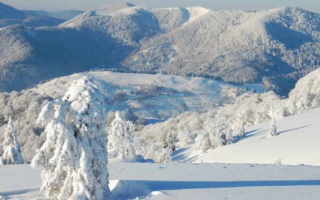 Обои картинки фото природа, горы, зима, снег, деревья