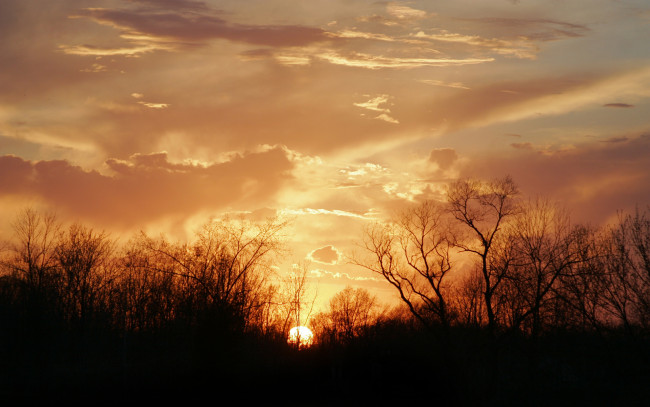 Обои картинки фото природа, восходы, закаты, закат, кусты, облака, небо, солнце