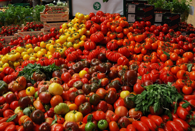 Обои картинки фото еда, помидоры, урожай