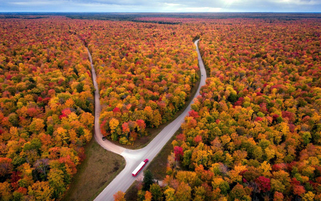 Обои картинки фото природа, дороги, лес, шоссе, панорама, осень