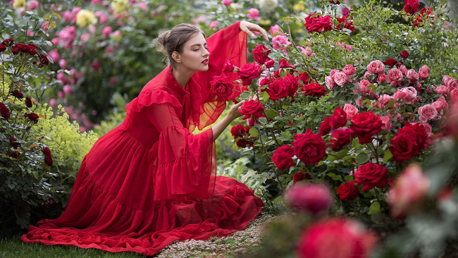 Обои картинки фото девушки, - брюнетки,  шатенки, розарий, розы, красное, шелковое, платье