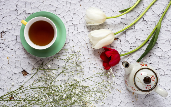 Обои картинки фото еда, напитки,  чай, гипсофила, чай, тюльпаны