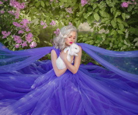 Картинка девушки -+блондинки +светловолосые лиловый шелк пепельные волосы кролик
