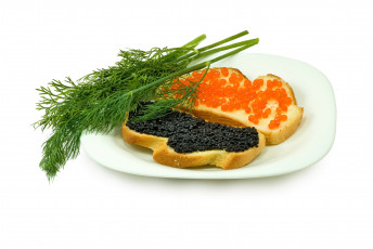 Картинка еда икра укроп бутерброды красная черная деликатес