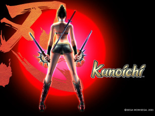 Картинка видео игры kunoichi