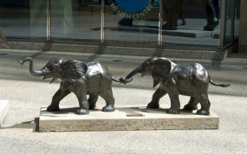 Картинка города памятники скульптуры арт объекты слонята фигурки