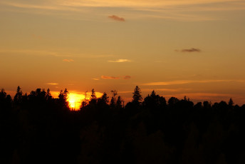 Картинка закат природа восходы закаты небо лес нижневартовск