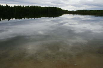 Картинка природа нижневартовска реки озера отражение нижневартовск деревья лес озеро небо