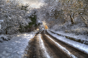 Картинка природа зима дорога