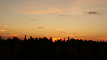 Картинка закат природа восходы закаты облака нижневартовск лес