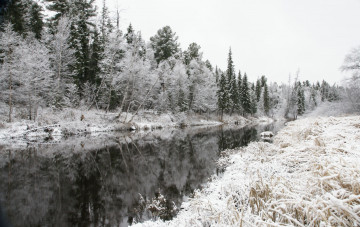 Картинка природа нижневартовска реки озера снег река деревья зима нижневартовск лес