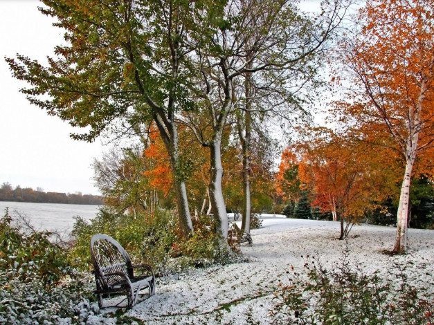 Обои картинки фото природа, парк, снег, зима, желтая, листва, лес