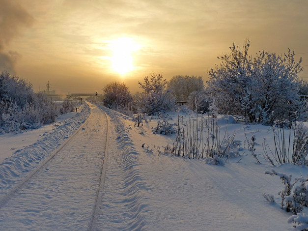 Обои картинки фото природа, зима, лес, дорога, снег, солнце