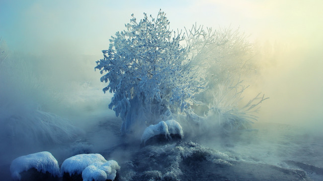 Обои картинки фото природа, зима, речка, снег, туман, дерево
