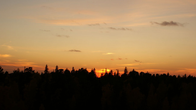 Обои картинки фото закат, природа, восходы, закаты, облака, нижневартовск, лес