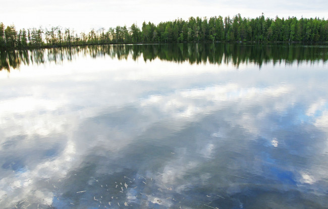 Обои картинки фото природа, нижневартовска, реки, озера, деревья, нижневартовск, озеро