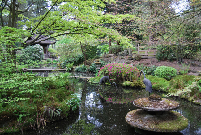 Обои картинки фото англия, натсфорд, японский, сад, природа, парк