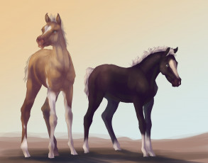 обоя рисованные, животные,  лошади, лошадки
