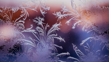 Картинка природа макро стекло узор мороз изморозь
