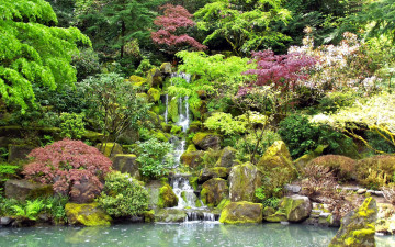 Картинка природа парк камни водопад деревья кусты водоем