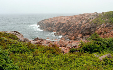Картинка природа побережье камни кусты
