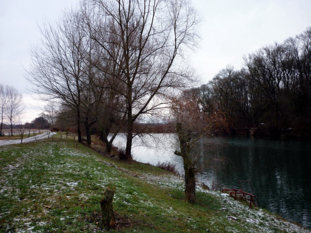 Обои картинки фото природа, реки, озера, деревья, вода, поздняя, осень