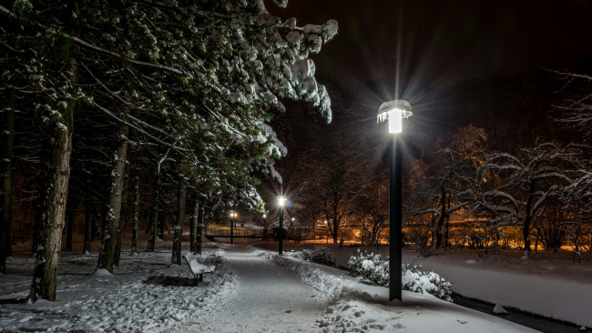 Обои картинки фото природа, парк, вечер, фонари, аллея, зима