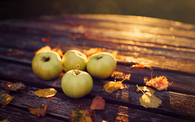 Обои картинки фото еда, Яблоки, плоды, осень, листья