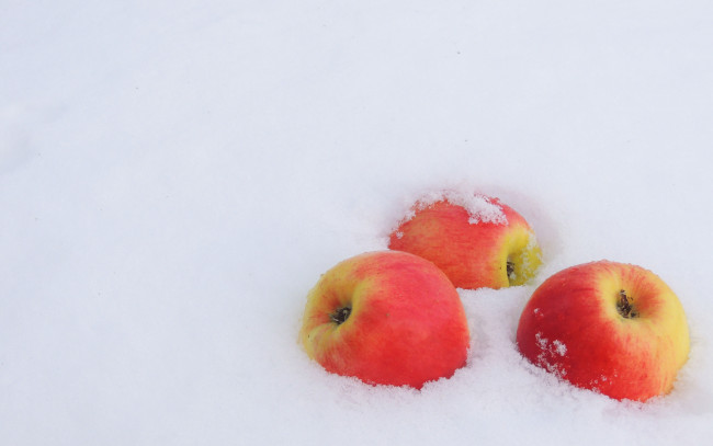 Обои картинки фото еда, Яблоки, румяные, плоды, трио, снег