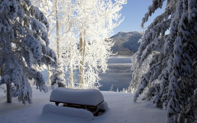 Обои картинки фото природа, зима, иней, снег