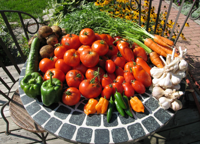 Обои картинки фото еда, овощи, ассорти, помидоры, томаты