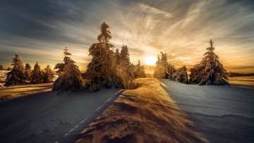Картинка природа восходы закаты заснеженные деревья зимний ландшафте восход солнца