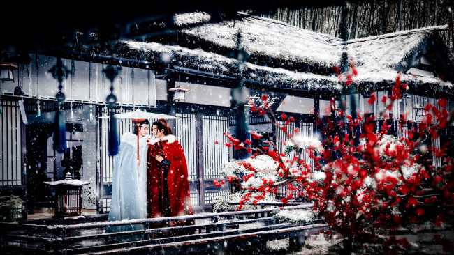 Обои картинки фото кино фильмы, the untamed, лань, ванцзи, вэй, усянь, снег, дом, дерево