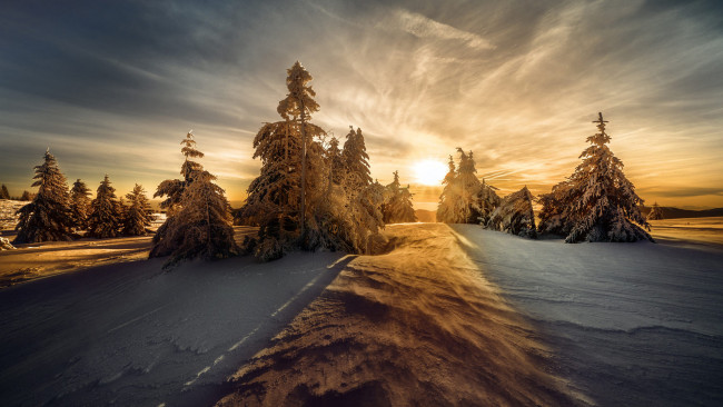 Обои картинки фото природа, восходы, закаты, заснеженные, деревья, зимний, ландшафте, восход, солнца