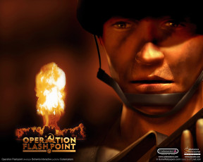 Картинка operation flashpoint the cold war crisis видео игры
