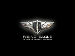Картинка rising eagle видео игры