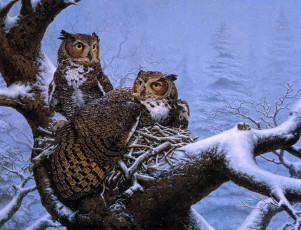 Картинка february nest рисованные lee kromschroeder гнездо совы зима