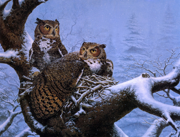 Обои картинки фото february, nest, рисованные, lee, kromschroeder, гнездо, совы, зима