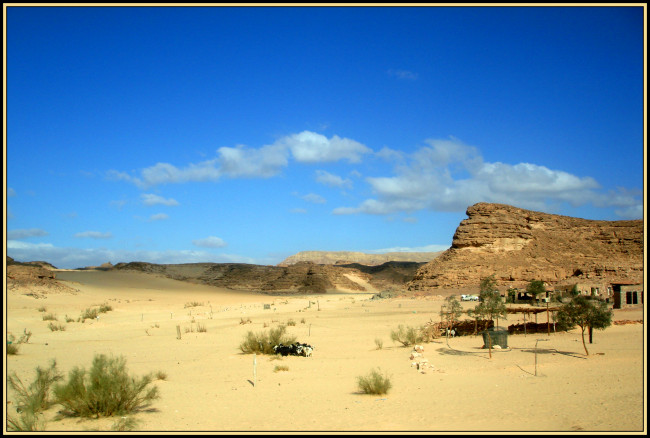 Обои картинки фото синайский, пейзаж, природа, пустыни, египет, синай, лето, горы