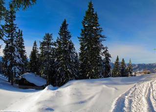 Картинка германия+бавария+бад-райхенхалль природа зима деревья снег домик бавария германия