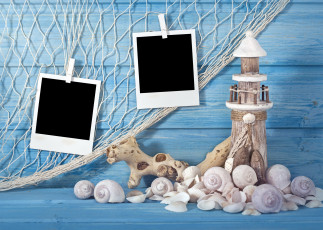 Картинка разное ракушки +кораллы +декоративные+и+spa-камни сеть коряга