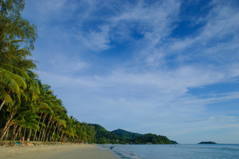 Картинка природа тропики побережье