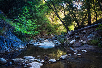 Картинка природа реки озера лес галька ручей камни