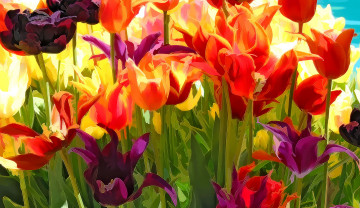 Картинка разное компьютерный+дизайн тюльпаны цветы