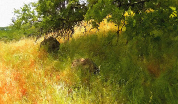Картинка рисованные природа поле трава