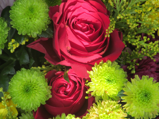 Обои картинки фото цветы, разные вместе, розы, хризантемы, мимоза
