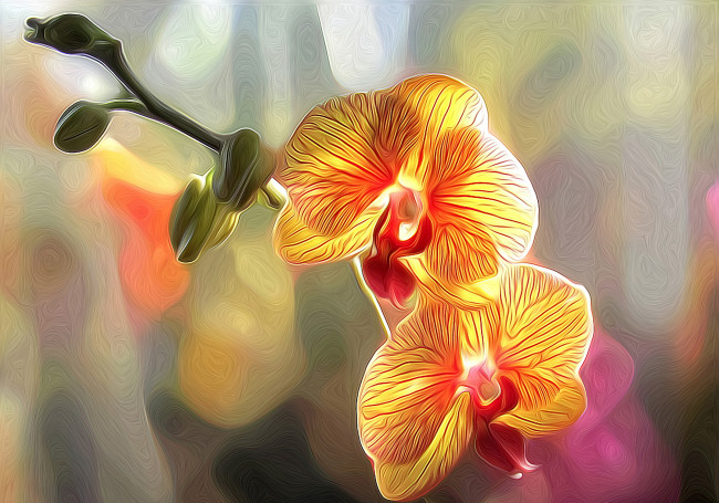 Обои картинки фото разное, компьютерный дизайн, орхидея, цветы