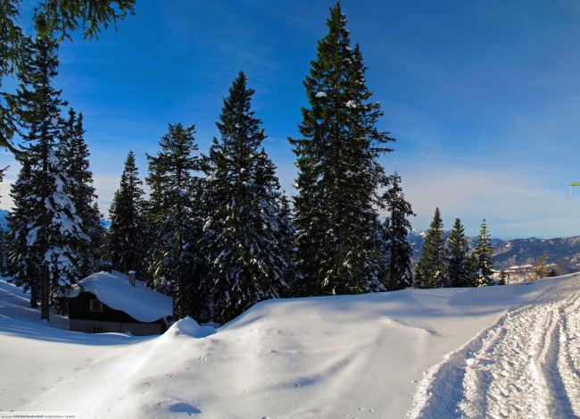 Обои картинки фото германия бавария бад-райхенхалль, природа, зима, деревья, снег, домик, бавария, германия