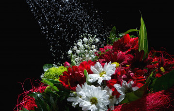Картинка цветы букеты +композиции хризантемы герберы букет вода капли